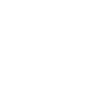 Superheavy et Starship