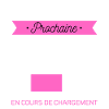 PROCHAINE BÊTISE cadeau humour
