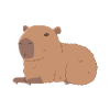 Resting Capybara