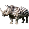 Rhino zebra animal