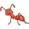 ant