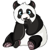 Panda Bear