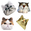 Pack chats fun