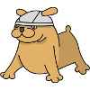 Woof