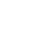 politique mensonge