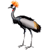 crane