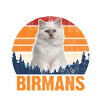 CHAT - BIRMANE CHAT BIRMANS
