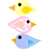 birds