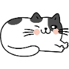 Cat Lying Cute