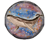 whales / whale