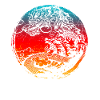 Dragon chinois