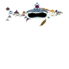 Requins, requins, requins