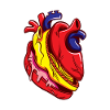 Science Heart So Real