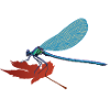 Lilli, the dragonfly