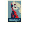 Perruche budgie image