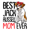 Jack Russell Russel