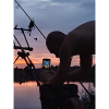 PattyCarpPicture