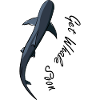 Whale shark shark