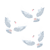 Pigeons Oiseaux