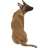 Dog Paws T-Shirt Animal Lover