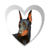 Doberman - Doberman Dog