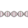 DNA Biology