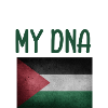 Palestine DNA Flag