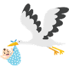 Cigogne avec bébé