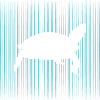 Shield toad with turtle