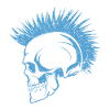 Skull Punks Punk