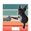 Meilleur dog DAD