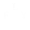 FLY Drone