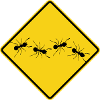 Ants warning sign