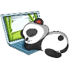 Panda im Homeoffice