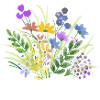 no rain, no flowers.