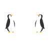 penguin