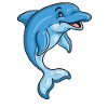 dolphin