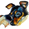 Picasso pinscher