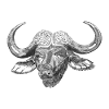Water buffalo ox