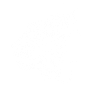 Lynx