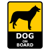 Dog on board