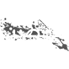 فلسطين