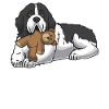 Landseer dog with plush toy