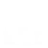 Anglers - Fisherman - Boat - Fishing