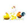 chicken