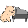 Guinea pig plays piano