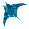 Blue Ocean Stingray