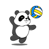 Panda plays volleyball