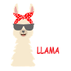 No Drama Llama
