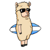 Surf surf alpaga surf